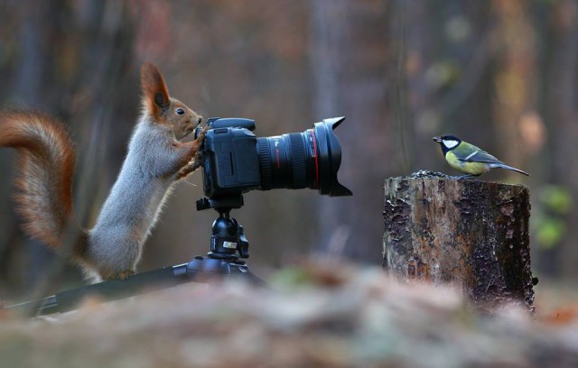 27 неопубликованных фотографий из архивов National Geographic