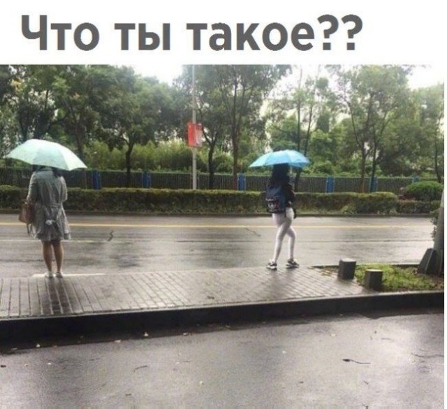 Забавных картинок не хотите ли?