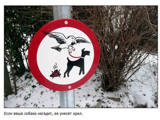 Надписи от тех, кто точно знает, как приковать наше внимание