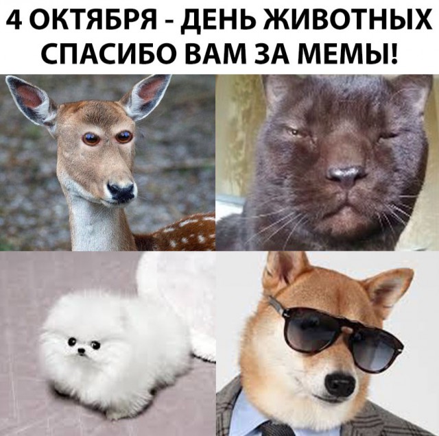Нестандартный юмор