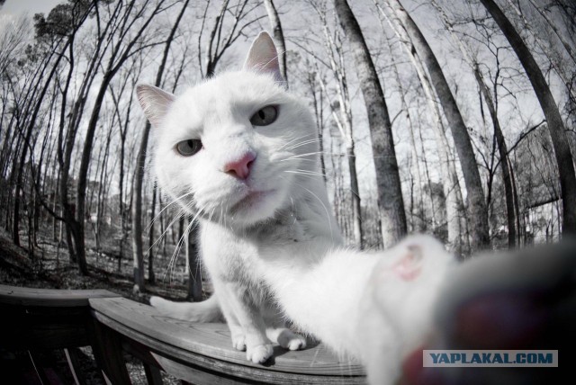 Сфотал себя, пока спал...