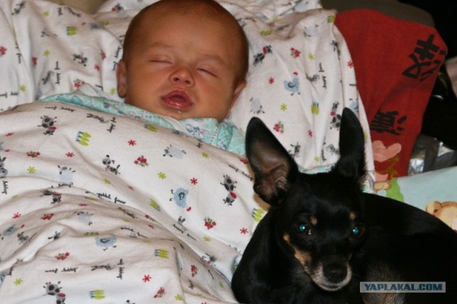 Лучшие друзья навсегда