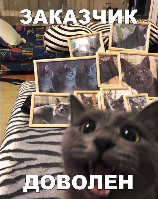 Нестандартный юмор