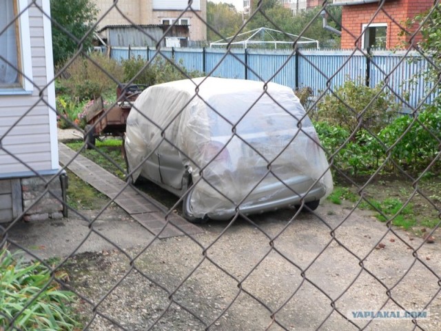 Человек, который живет в лесу и делает сайты.