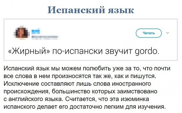 Свинегрет: картинки, надписи и прочее 05.02.20