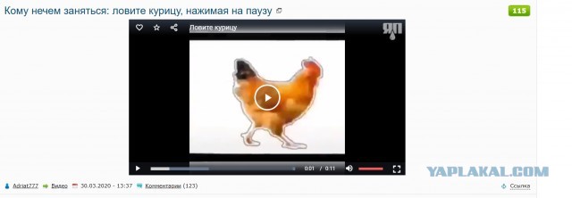 Кому нечем заняться: ловите курицу, нажимая на паузу