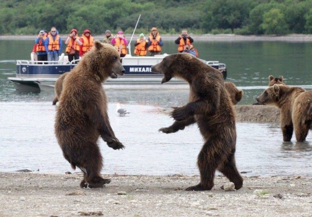 Зверушки