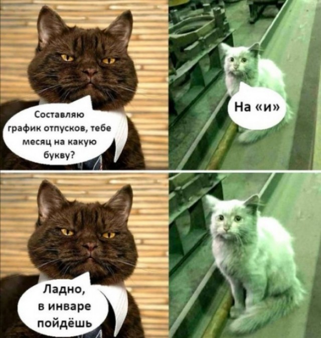 Немного картинок для настроения 117