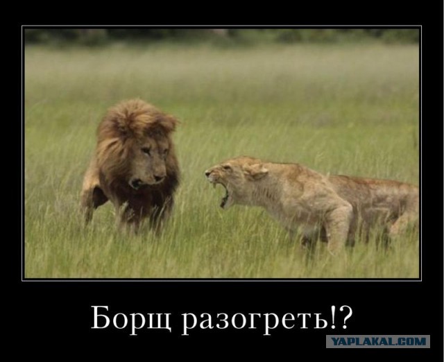 Равноправие в семье