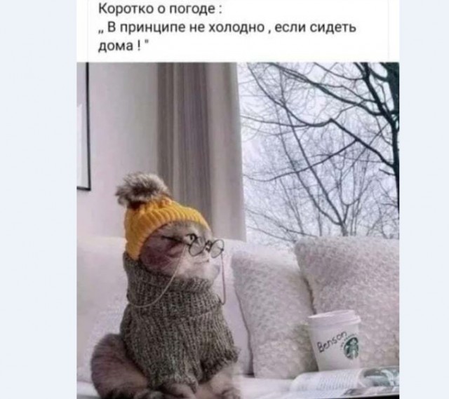 Картинки и мемы для настроения 23.02.21