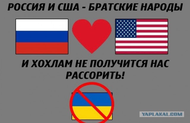 Зеленский предложил Путину встретиться на Донбассе
