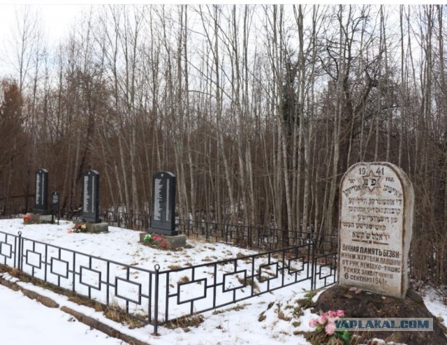 Опустевшая Псковщина. Поездка на юг Псковской области