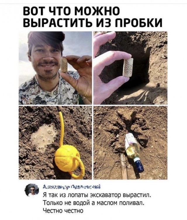 Картинки и мемы для настроения 29.09.2021