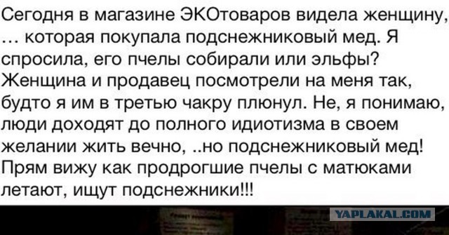 Как выбрать мёд при покупке