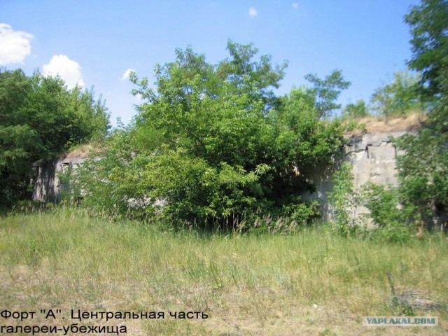 Форты Бреста