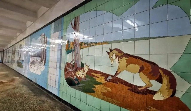 Ростов на Дону. Подземный переход проспект Буденновский/Московская