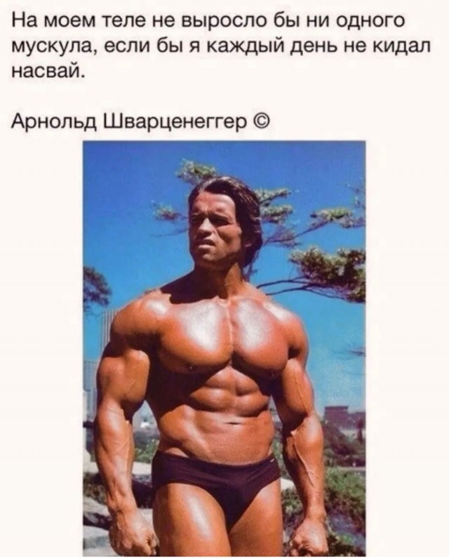 Картинки и мемы для настроения - 21