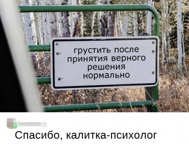 Так себе картинки 24.04.22