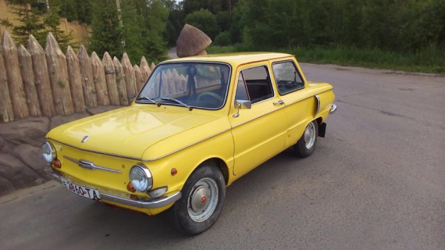 Путешествие по Америке со своей собакой на старом VW, закончилось трагедией в результате несчастного случая