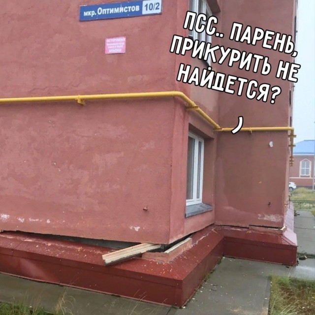 Весёлый полтишок 11.07.22