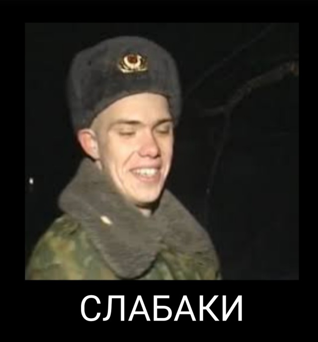 Соседи полтора часа страховали вылезшего на подоконник кота
