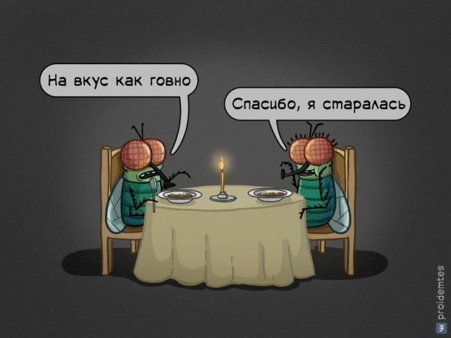 Мухи (интересные факты)