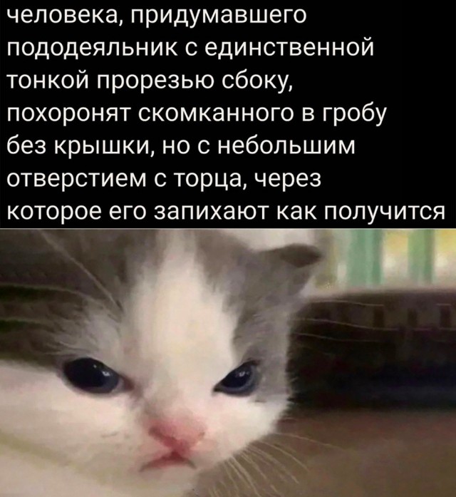 Так себе картинки 15.07.22