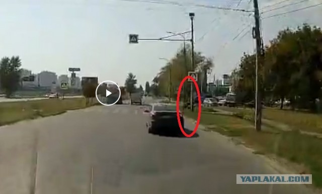 Почти бесплатный урок хороших дорожных манер, ПДД и здравого смысла