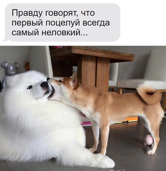 Картинки и мемы, всем хороших выходных