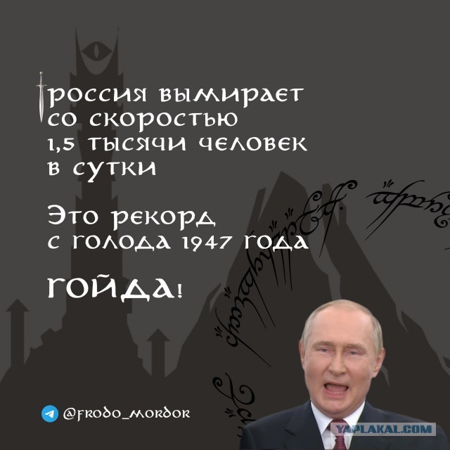 «От всякой нечисти страну освободить»: Совет Федерации предложил заменить англоязычную музыку в ресторанах на русскую