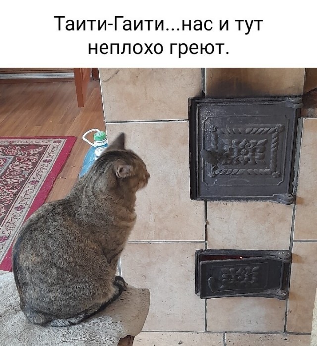 Картинки и мемы, всем хороших выходных