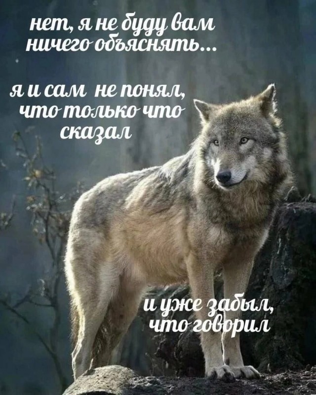Всего понемногу. От 30 апреля