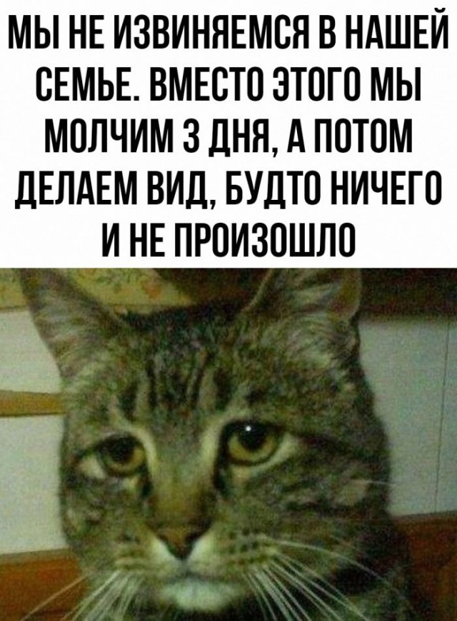 67 разных картинок для настроения - 7