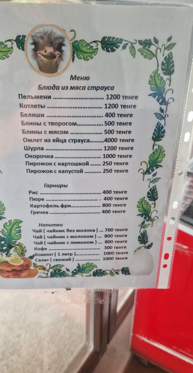 Эму. Содержание. Моё