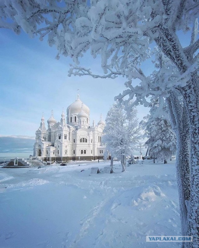 Зимняя красота