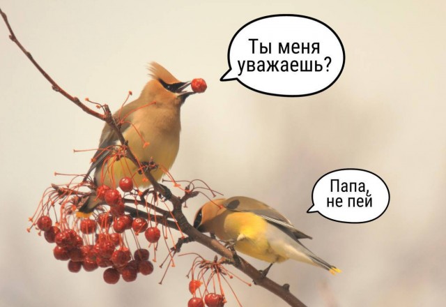 Всего понемногу. От 12.01