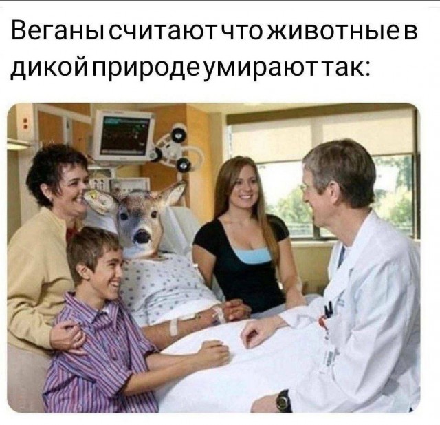 Всего понемногу. От 17.01.24