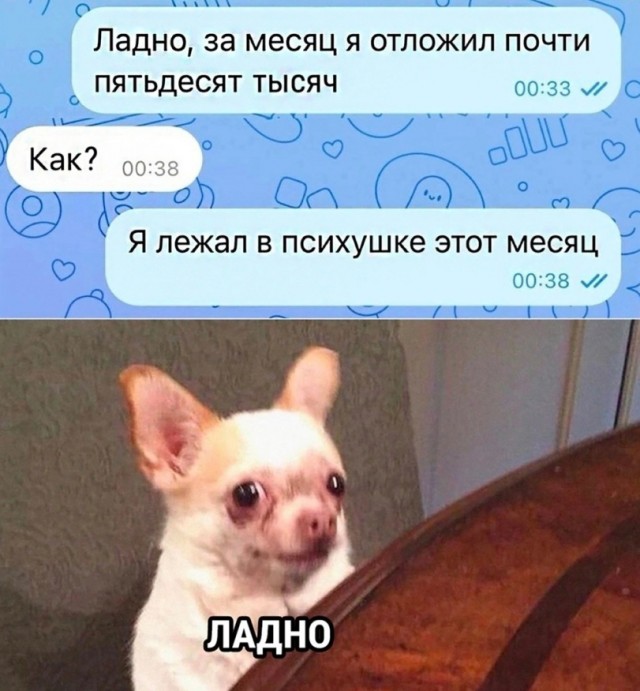 Всякой Хни вам в ленту, дорогие деграданты