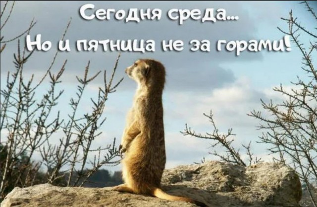 Маленькая пятница