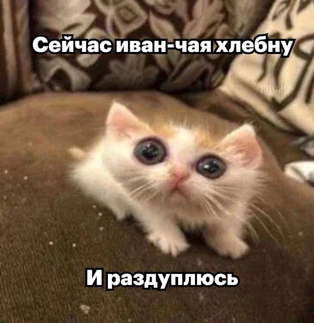 Всего понемногу. От 27.02.24