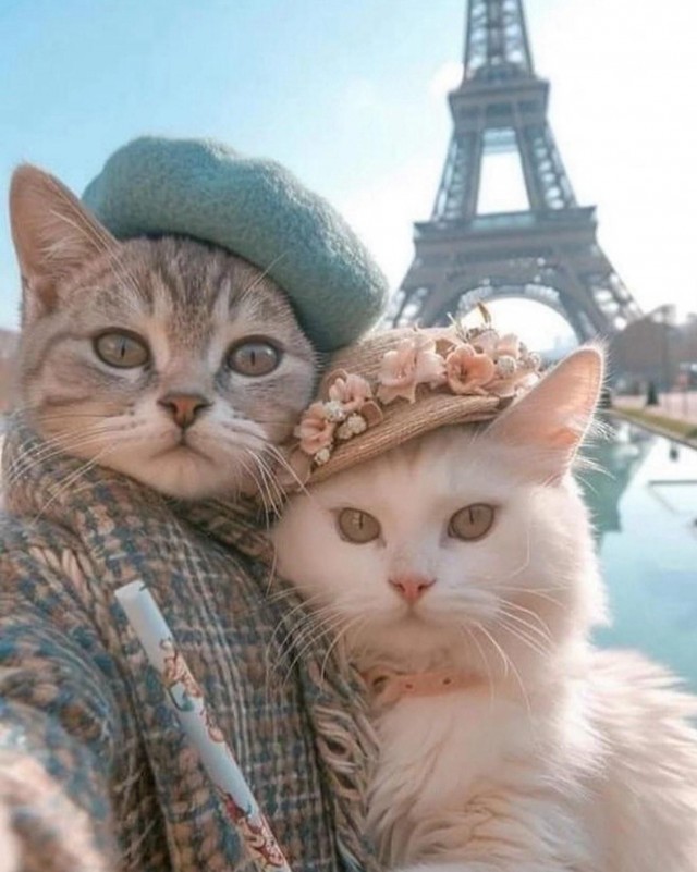 ФотоВинегрет