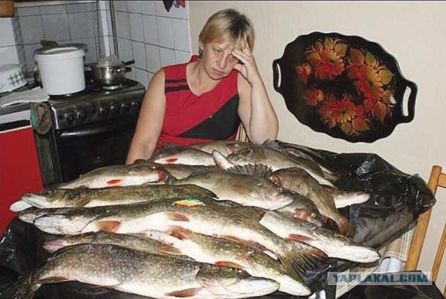 Сколько ей (жене) жить осталось?