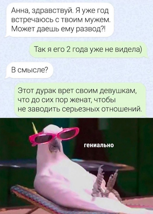 Так себе картинки 29.04.24