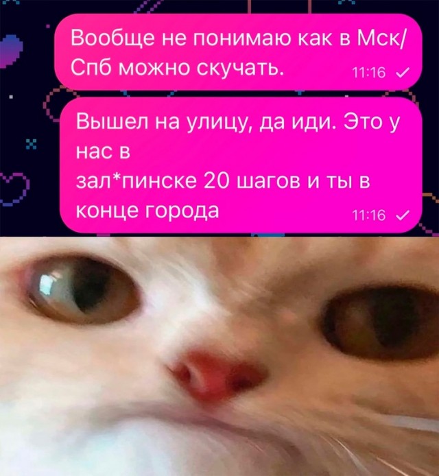 Весёлый полтишок 30.04.24