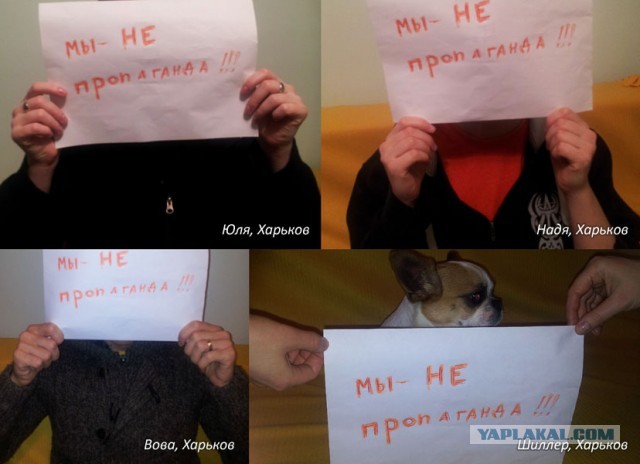 Волна протеста против гомофобии