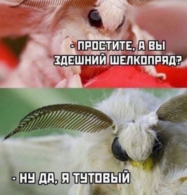 Завалялось тут случайно немного забавных картинок
