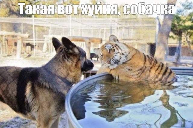 Жильё в России резко подешевеет на треть, — экономисты