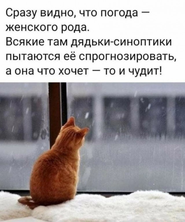 Завалялось тут случайно немного забавных картинок