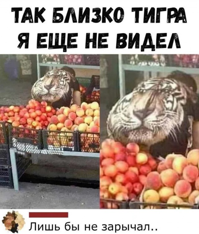 Завалялось тут случайно немного забавных картинок