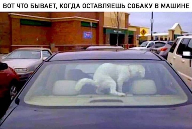 Картинки на автотематику 07.05.25
